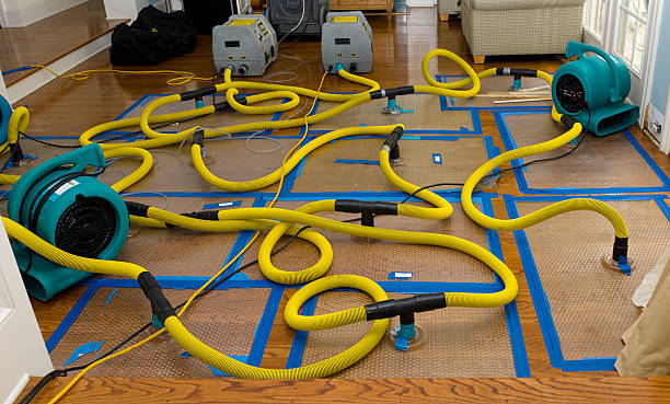 Professional Structural Drying And Dehumidification technician working in Middleburg, VA